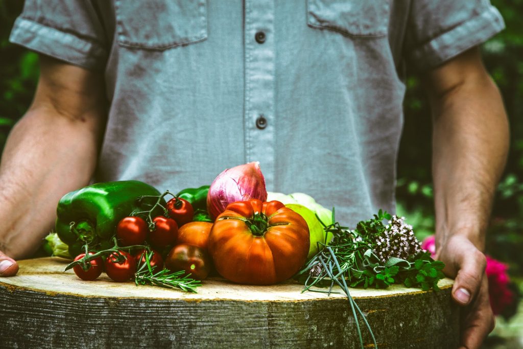 Dietitian In Panchkula - Dietitian Priyanka