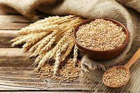 Best Diet Plan For Wheat Allergy