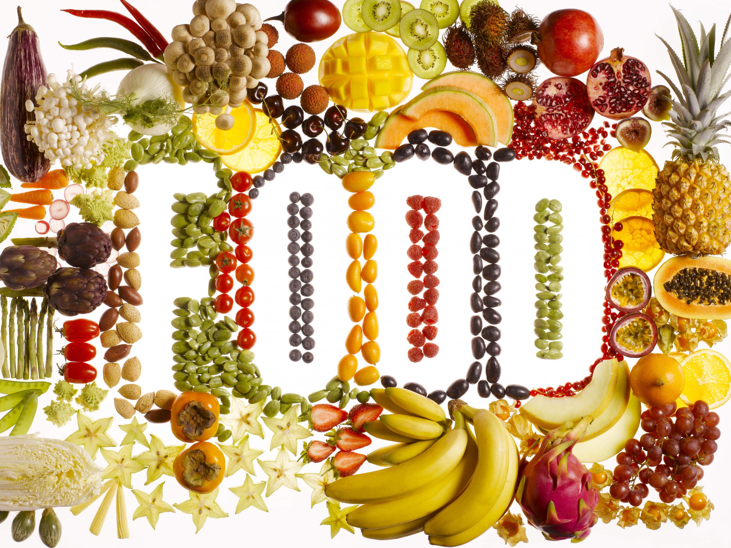 Top 10 Dietitians In Jammu Kashmir top 10 dietitians in jammu kashmir