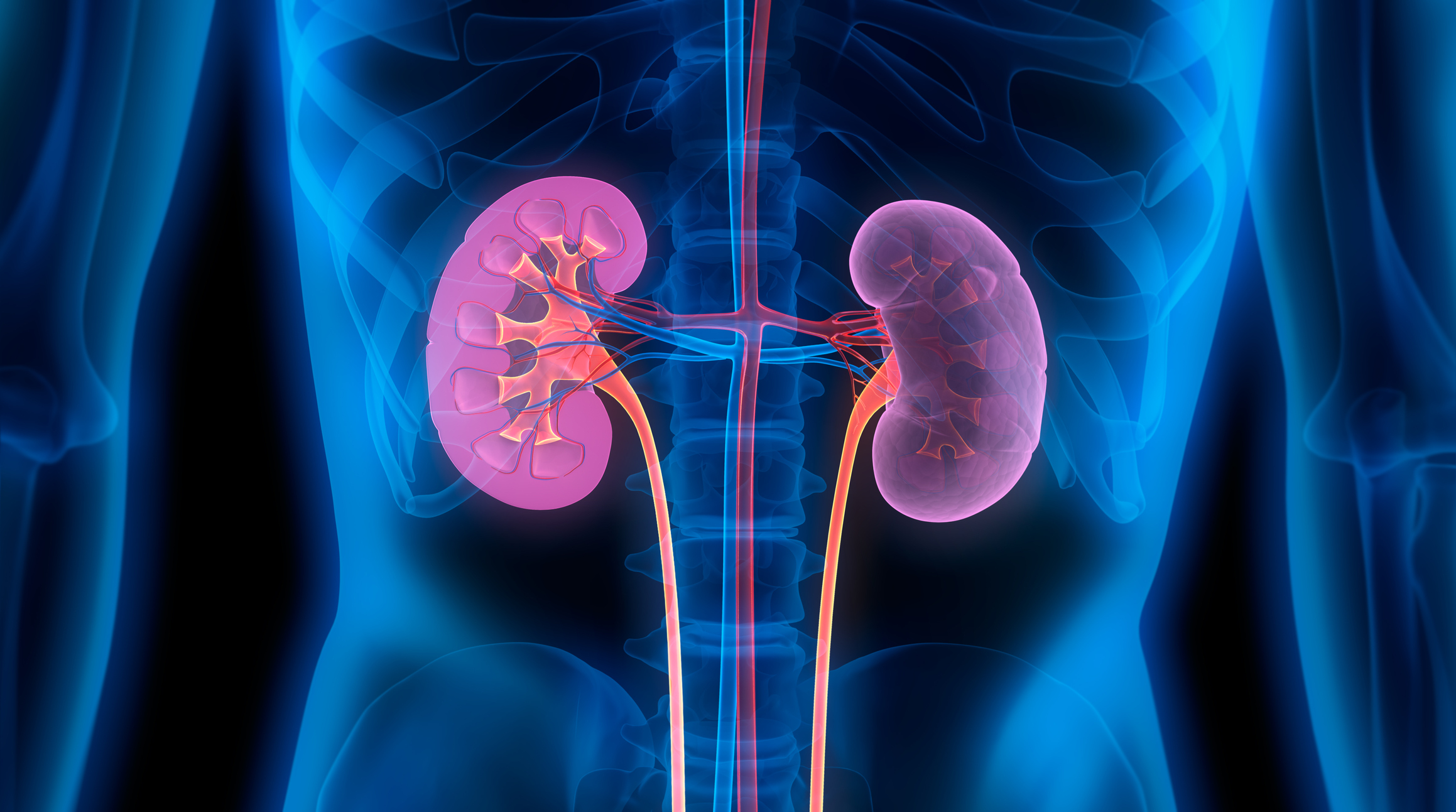 Best Diet Plan For Renal Disorder Dietitian Priyanka