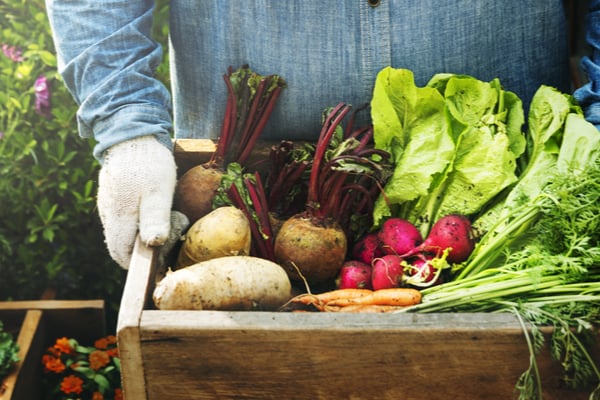 Why Should We Eat Seasonal Fruits And Vegetables
