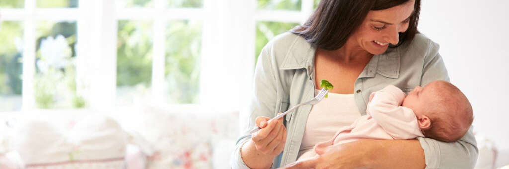 Lactation Diet Program