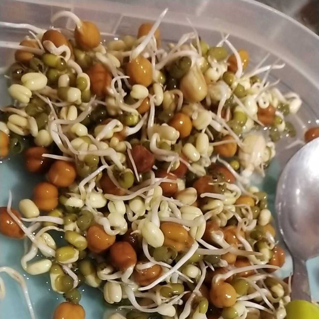 Why Should You Include 100 Gm Sprouts Protein In Your Diet? - Dietitian Priyanka